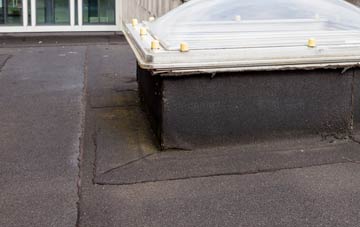 disadvantages of Biddick Hall flat roofs