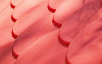 Biddick Hall plastic roof costs