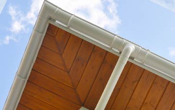 Biddick Hall soffit types